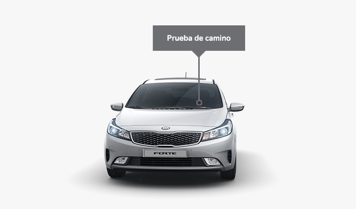 Prueba de camino
